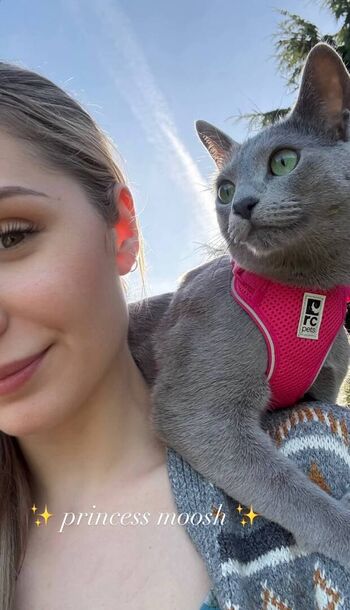 Full leaked Lauren southern private onlyfans photo