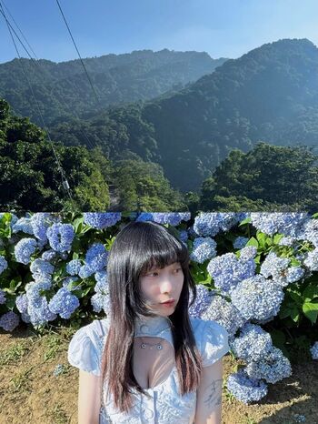 nianx1